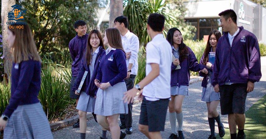 Vì sao nên chọn trường McClelland College