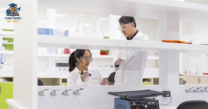 Các chương trình giảng dạy của trường