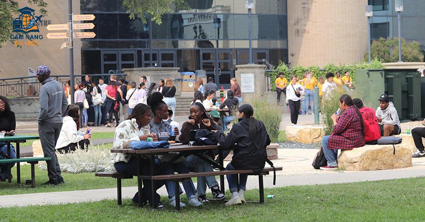 Vì sao nên chọn trường Brandon University