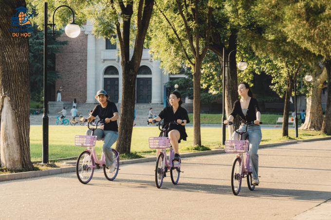 Khuôn viên Đại học Thanh Hoa, Trung Quốc, giữa tháng 9. Ảnh: Tsinghua University Fanpage