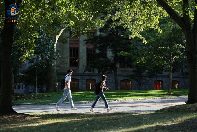 Khuôn viên Đại học Pennsylvania, Mỹ. Ảnh: University of Pennsylvania Fanpage