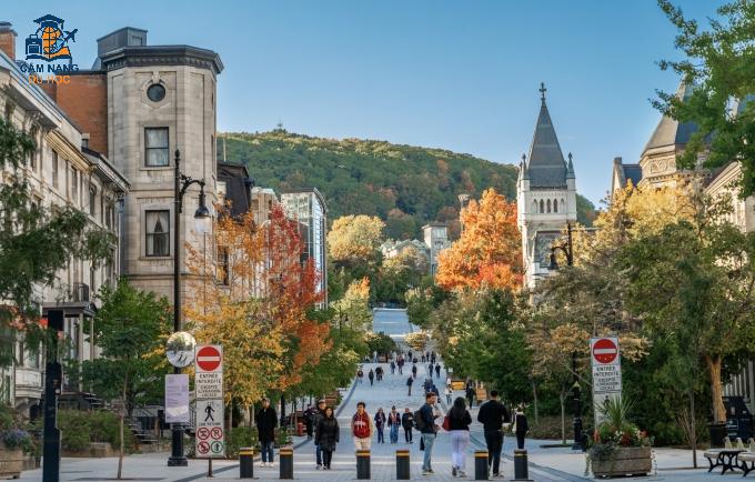 Khuôn viên Đại học McGill, Canada. Ảnh: McGill University Fanpage