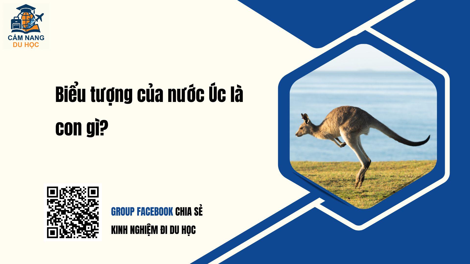 Biểu tượng của nước Úc là con gì? 90% Đoán sai