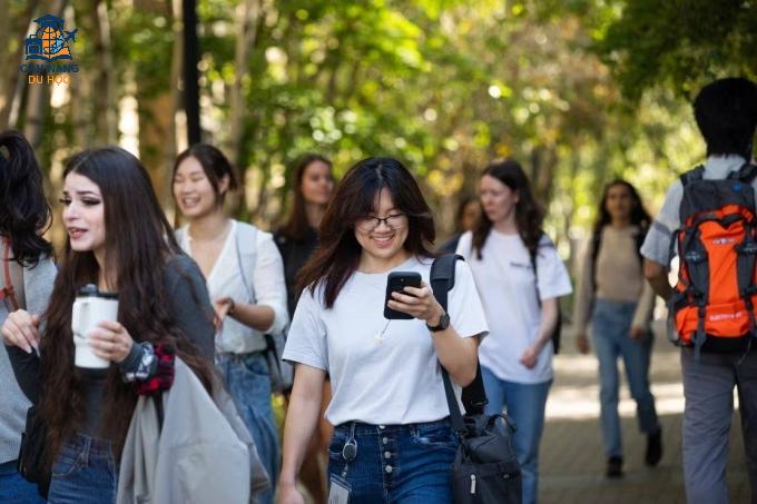 Sinh viên Đại học Toronto, Canada. Ảnh: Fanpage trường
