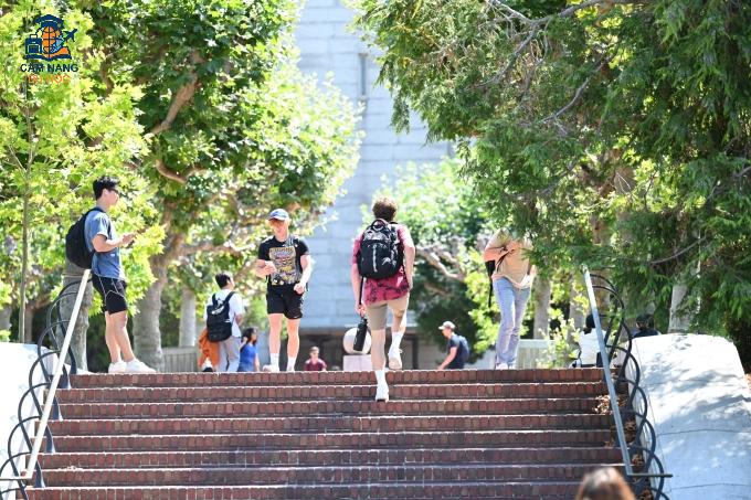 Khuôn viên Đại học California ở Berkeley, Mỹ. Ảnh minh họa: UC Berkeley Fanpage