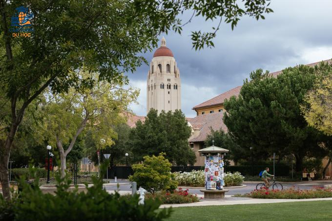 Khuôn viên Đại học Stanford, Mỹ. Ảnh: Stanford University Fanpage