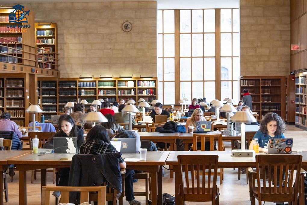 Sinh viên Đại học Princeton ôn thi giữa kỳ trong thư viện. Ảnh: Fanpage trường