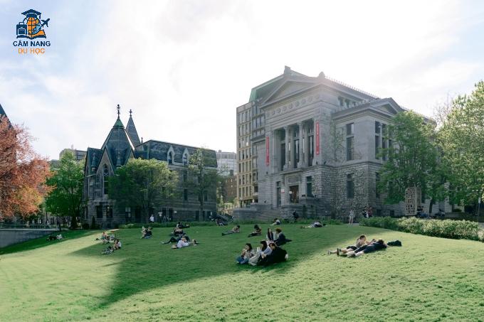 Khuôn viên Đại học McGill, Canada. Ảnh: Fanpage trường