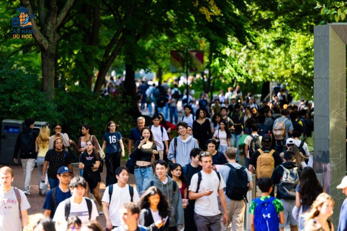 Khuôn viên Đại học Northeastern - một trong những trường đông du học sinh nhất Mỹ. Ảnh: Northeastern University Fanpage