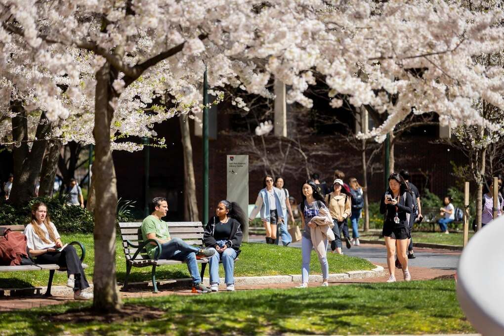 Một góc khuôn viên Đại học Pennsylvania, Mỹ. Ảnh: Fanpage trường